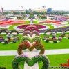 Dubai Miracle Garden
