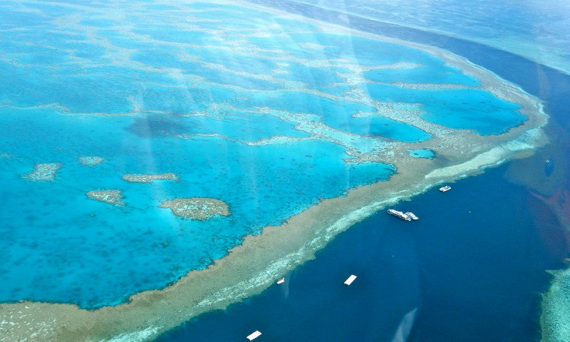 Great Barrier Reef (Gran barrera de coral)