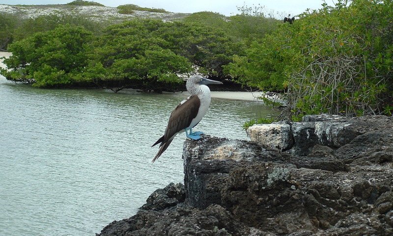 Islas Galápagos